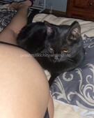 Анкета проститутки Риана - метро Проспект Вернадского, возраст - 23