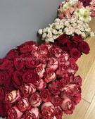 Анкета проститутки Аврора - метро Филевский парк, возраст - 25